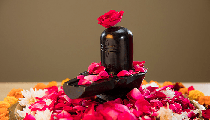 Rudrabhishek Puja