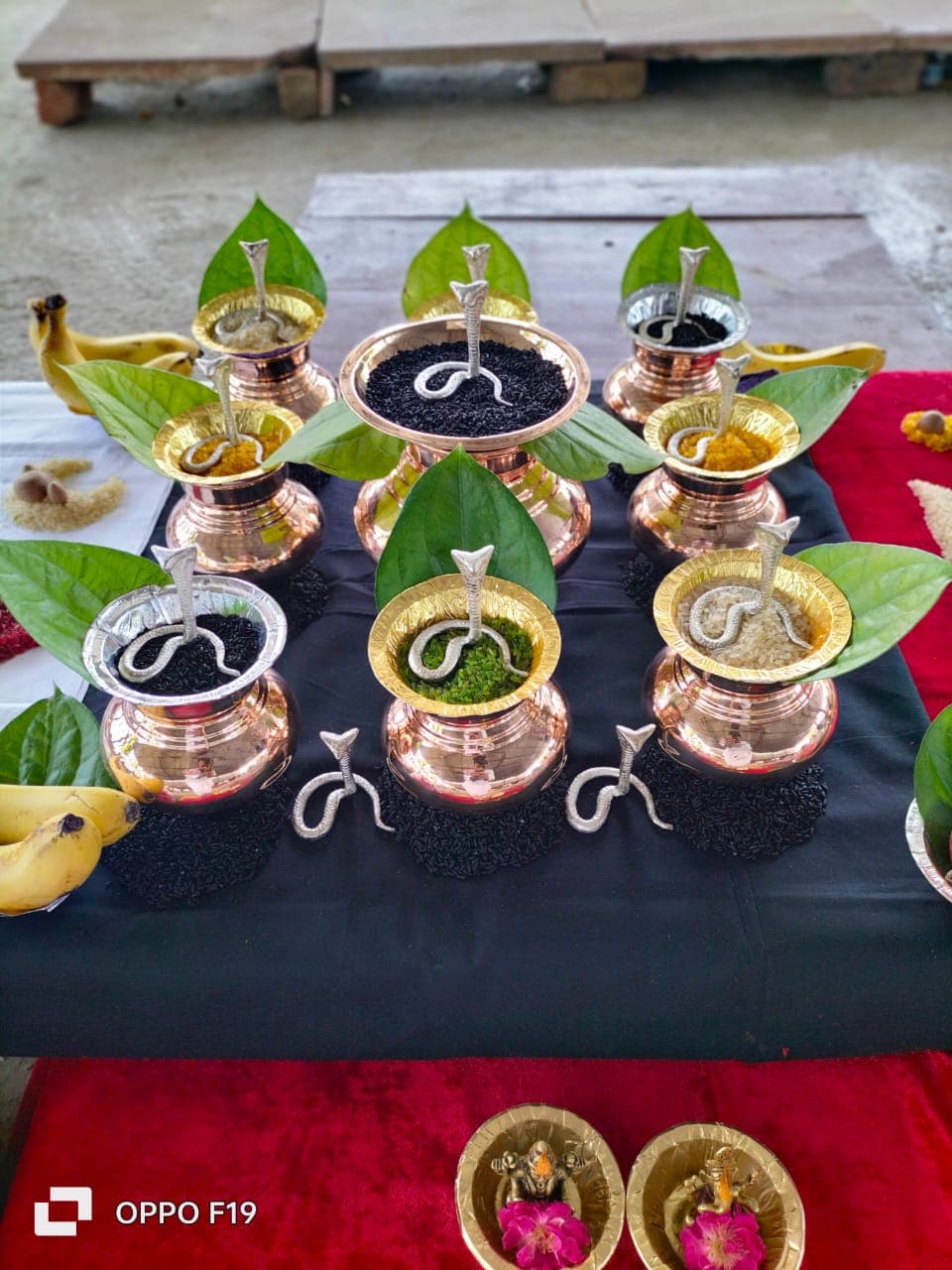 Kaal Sarp Shanti Puja